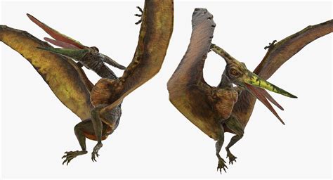 3D model Pteranodon Flying Carnivorous Reptile Landing Pose | 3D Molier ...