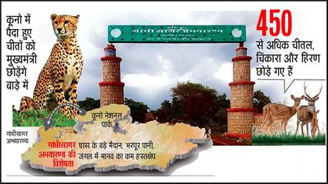 Mandsaur Gandhisagar Sanctuary: आज मंदसौर के गांधीसागर अभयारण्य में ...