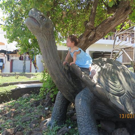 HOTEL PELICAN BAY (Galapagos Islands/Puerto Ayora, Santa Cruz) - Hotel ...
