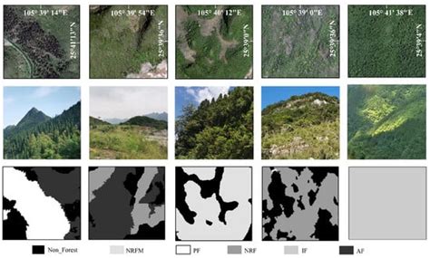 Deep Learning Approach for Studying Forest Types in Restored Karst ...