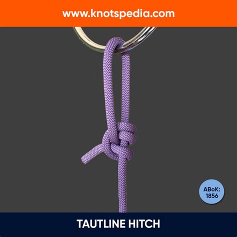 Image result for Knot Tying Tutorial Figure Eight