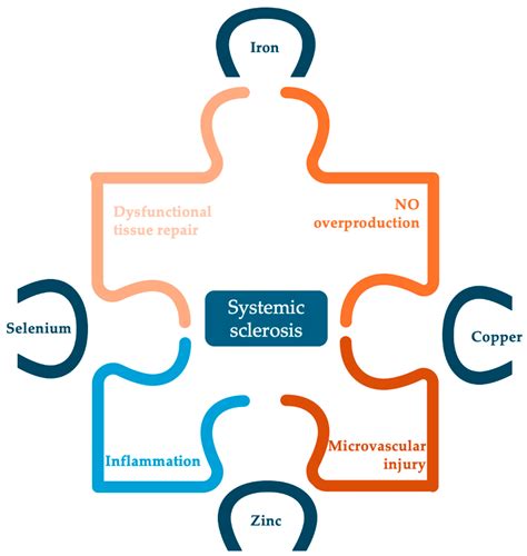 Trace Element Deficiency in Systemic Sclerosis—Too Much Effort for Some ...