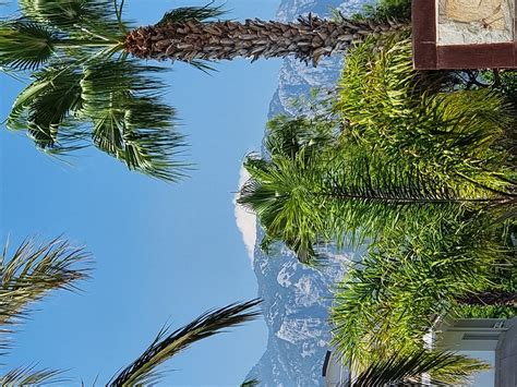 Amazing hotel - Review of Rai Premium Tekirova, Tekirova - Tripadvisor