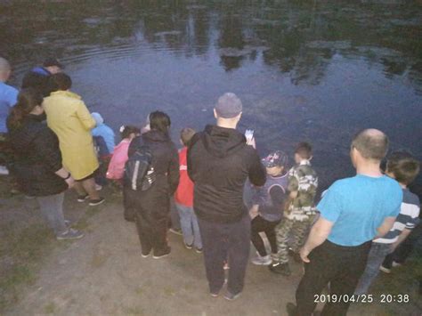 Жителям Гомеля зарыбившим пруд возле своего дома грозит крупный штраф