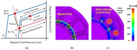 Analysis and Experimental Verification of the Demagnetization ...