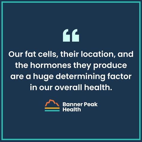 The Two Types of Body Fat Worth Knowing About