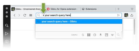Image result for Gibiru Search Engine