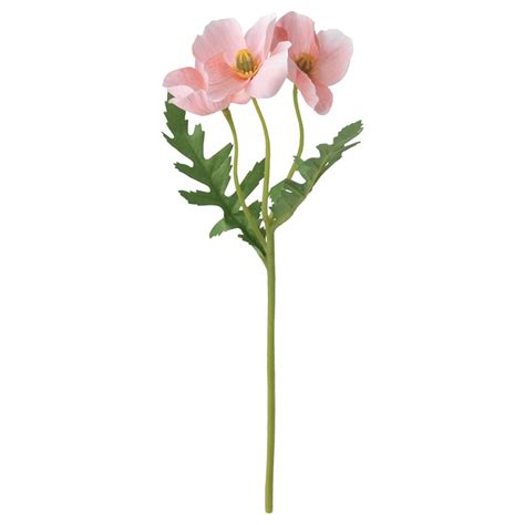 Artificial Flowers - Buy silk flowers online at best prices - IKEA