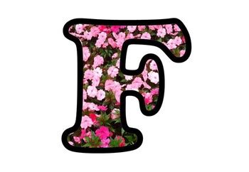 Pink Flowers, Bulletin Board Letters, Numbers and Symbols, Spring ...