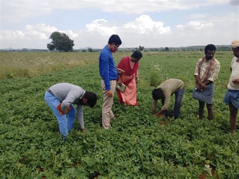 © 2025 PJTAU. All rights reserved. Privacy Policy Disclaimer