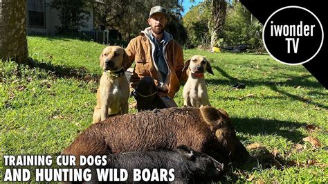 Image result for Python Cowboy YouTube