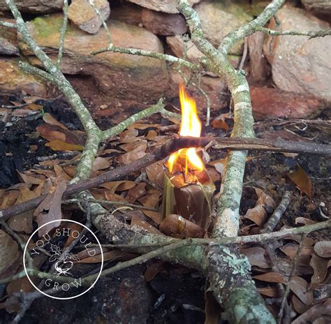 Image result for Easy Fire Starters