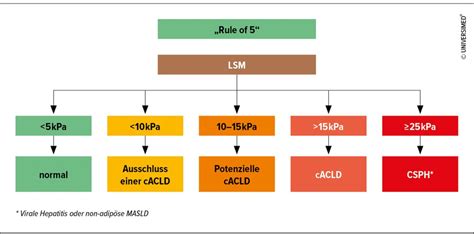 Die Elastografie der Leber - Hepatologie - Universimed - Medizin im Fokus