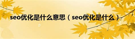 什么是Seo优化（seo的优化技巧有哪些）-8848SEO