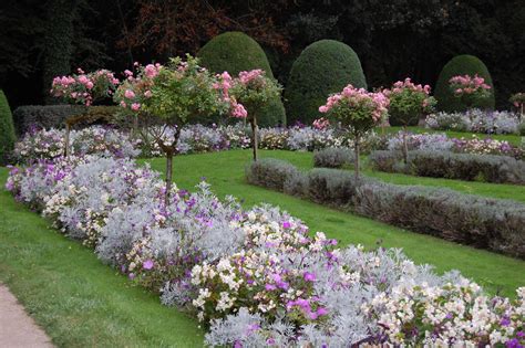 22 English Rose Garden Design Layout Ideas You Gonna Love | SharonSable