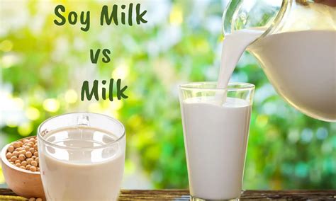Milk Vs. Soy Milk _ What’S The Difference Between, Soy Flour Vs Soy ...