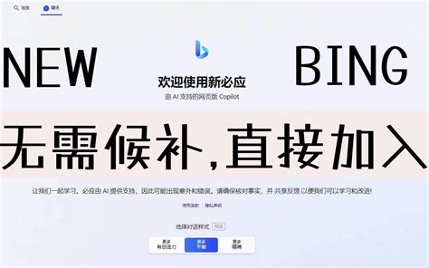 新必应 的图像结果