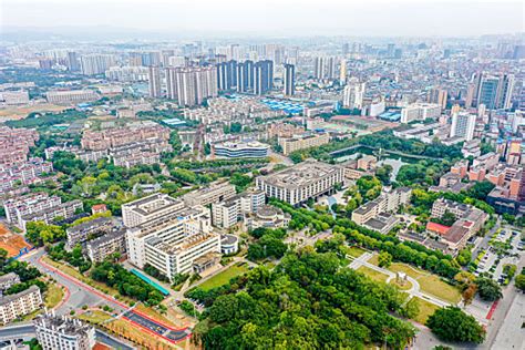 广西大学2023年人才招聘|教师招聘计划｜博士招聘计划——中国科学人才网（官网）