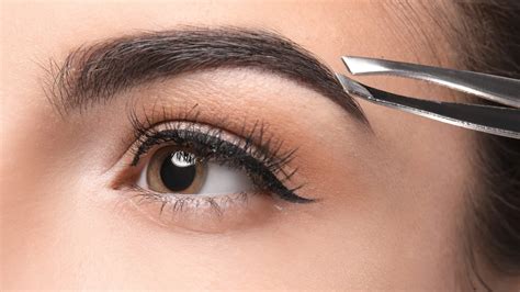 Beyond Aesthetics: The Evolutionary Purpose Of Eyebrows