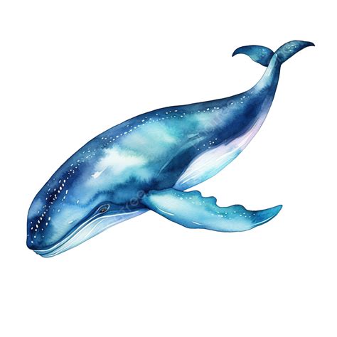 Watercolor Whale Clip Art, Watercolor, Ocean, Sea PNG Transparent Image ...
