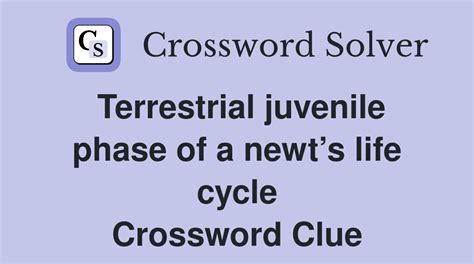Terrestrial juvenile phase of a newt's life cycle - Crossword Clue ...