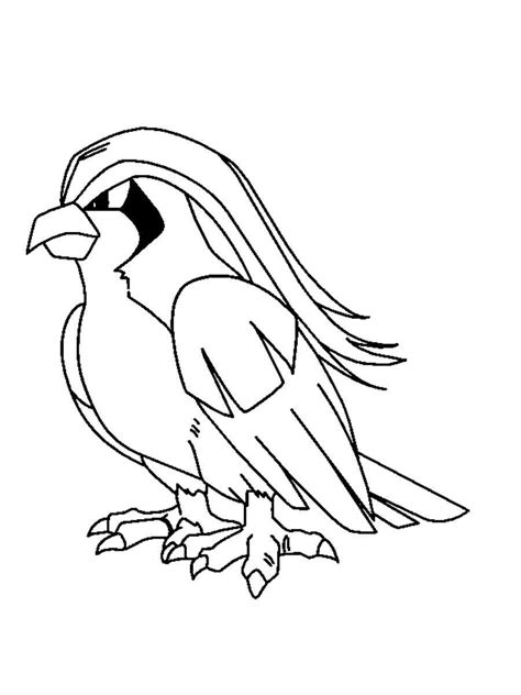 Image result for Pidgeotto Color Pages
