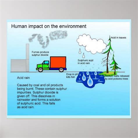 Human Impact On the Environment 的图像结果