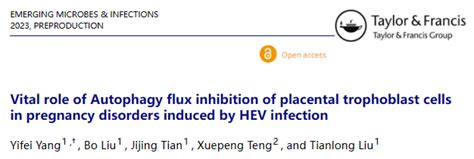 Autoadrogynephilia 的图像结果
