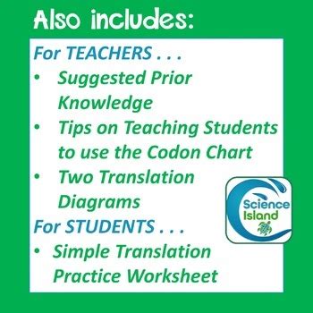 Image result for Codon Chart Practice