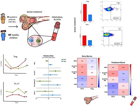 Significance of Th17 and Treg in Treatment Efficacy and Outcome in ...