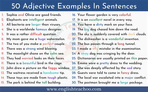 50 Adjective Examples In Sentences - EnglishTeachoo
