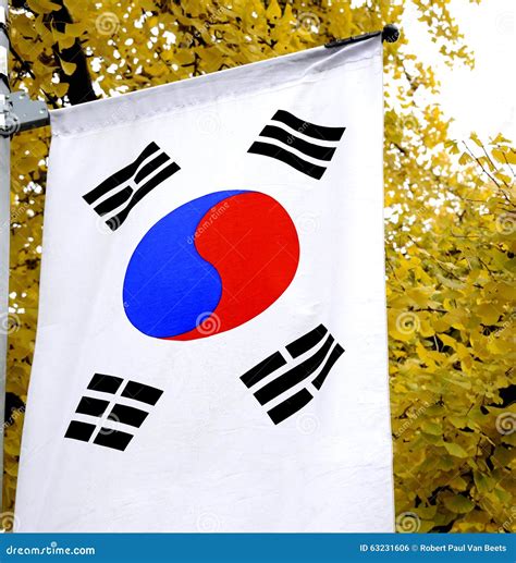 The National Flag of South Korea Stock Photo - Image of flag, blue ...