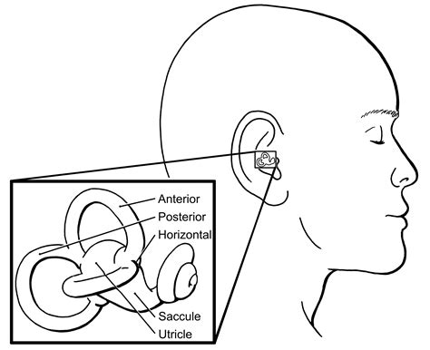 Bppv Canalith Repositioning Maneuver Hand Out