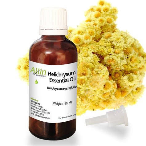 Allin Exporters Helichrysum Essential Oil Undiluted & Pure Therapeutic ...