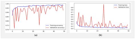 Enhancing COVID-19 Detection: An Xception-Based Model with Advanced ...