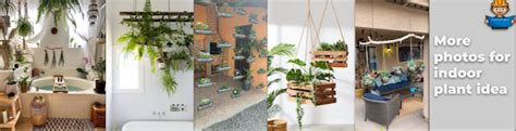 5 Best Way to Keep Indoor Plants - ConstructionGo – Construction Tips ...