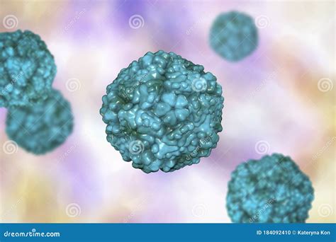 Enteroviruses, A Group Of RNA-viruses Including Echoviruses ...