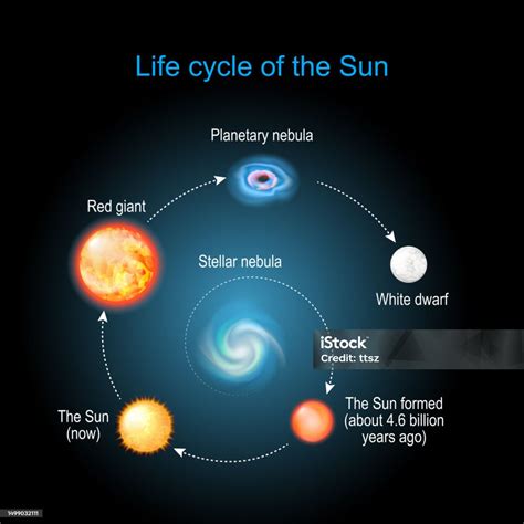 Cycle Of The Sun