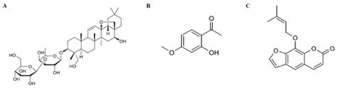 Pharmaceutics | Special Issue : Drug Metabolism, Pharmacokinetics and ...