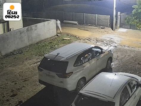 Stray cattle terror in Bhavnagar, CCTV