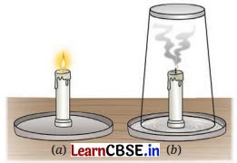 Class 7 Science Chapter 5 Changes Around Us: Physical and Chemical ...