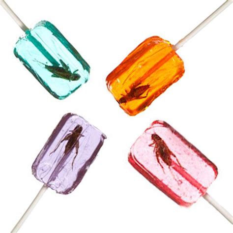 BicBugs Cricket sucker lollipop edible insects bred for human consumption
