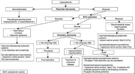 Hyponatremia Algorithm 的图像结果