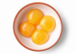 egg yolk 的图像结果