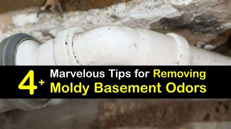 Moldy Basement Smells - Get Mold Odors Out of the Cellar