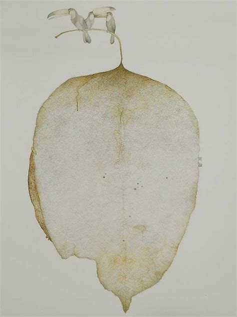 Urban Cartographers at Gallery Beyond Charts New Urban Maps ...