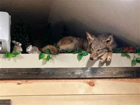 THE BEST Places to Visit in Royal (2025) - Must-See Attractions