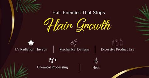 5 External Enemies Behind Hair Damage - Hi9 Blogs – Myhi9