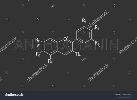 Anthocyanin Molecular Skeletal Chemical Formula Stock Vector (Royalty Free) 2430734581 ...