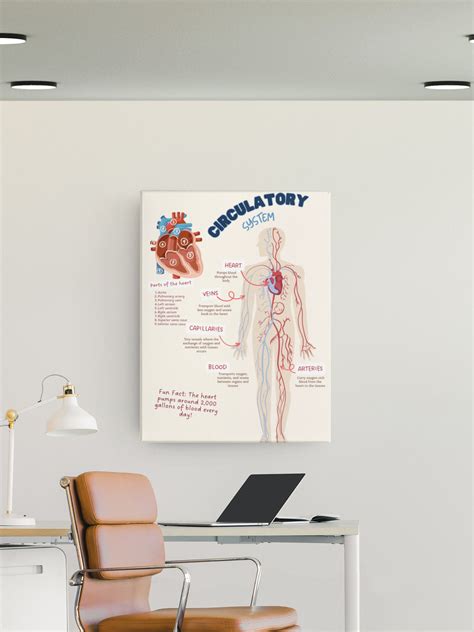 Circulatory System Poster Set in Spanish and English for Classrooms and Clinics, Bilingual ...
